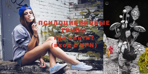 крисы Алзамай
