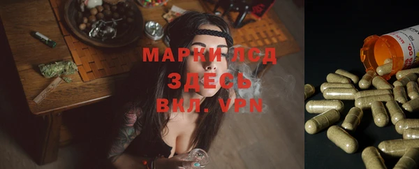 крисы Алзамай