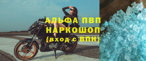 крисы Алзамай