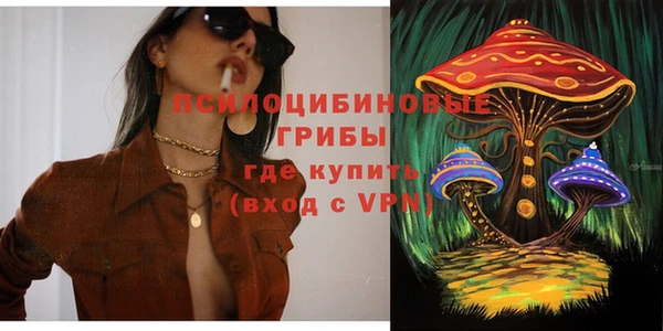 соль ск Арсеньев