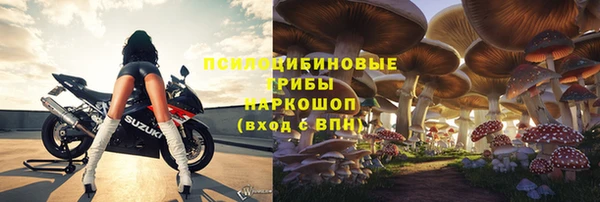 прущие крисы Алексин