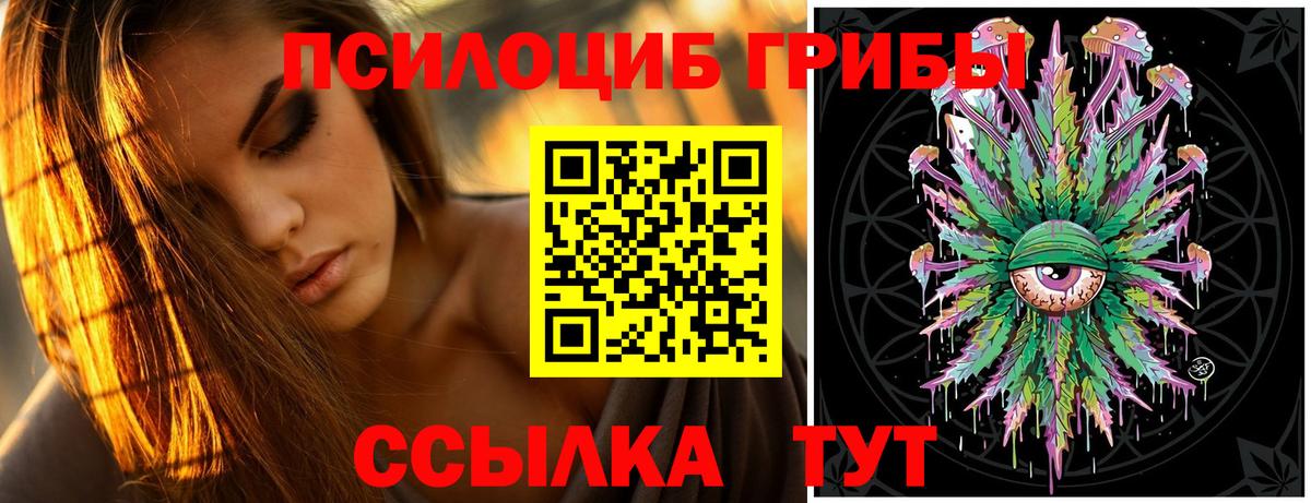 Галлюциногенные грибы прущие грибы  Галлюциногенные грибы GOLDEN TEACHER  Фрязино  как найти наркотики  Вход с VPN 